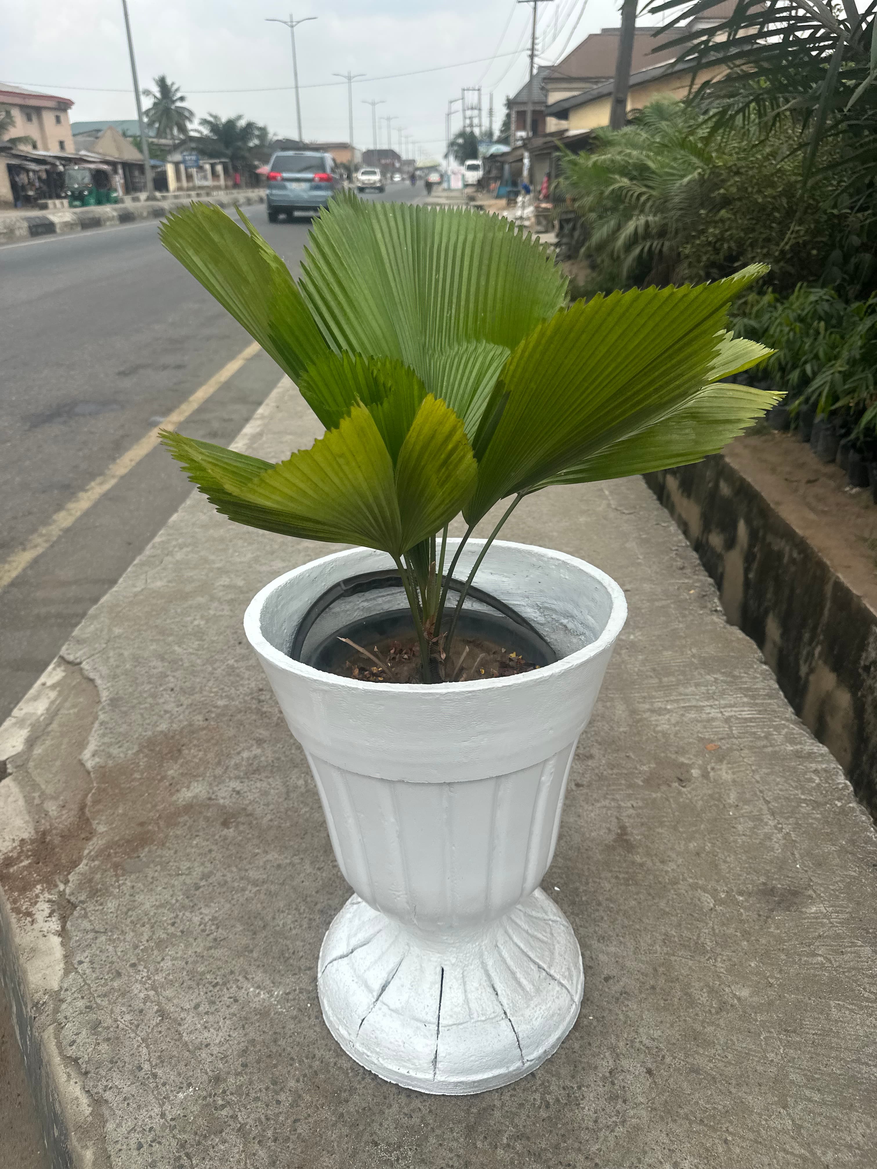 pots with stand